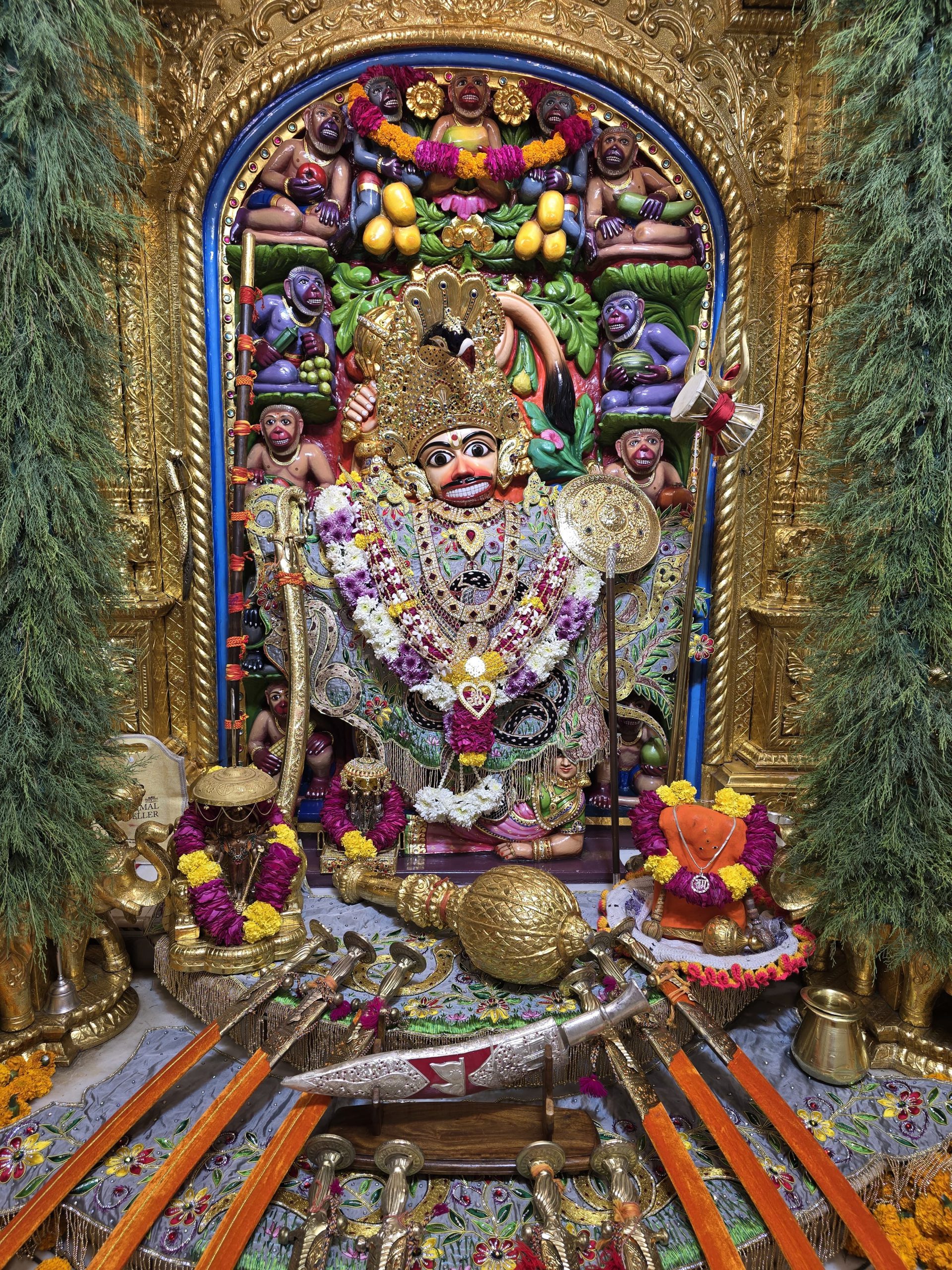 WhatsApp Image 2025-02-27 at 7.03.50 AM (1)