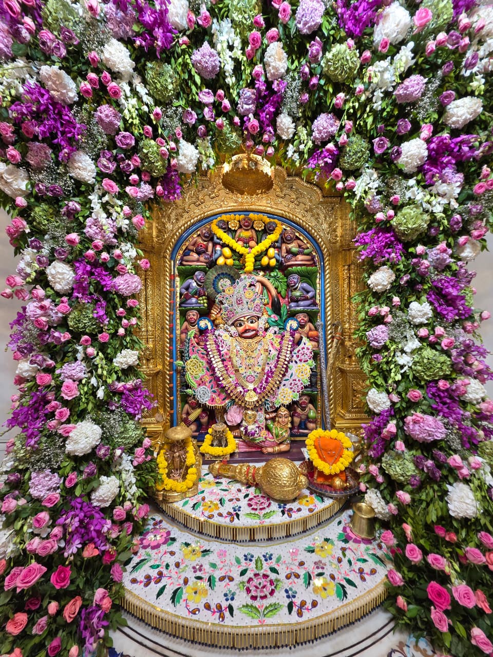 WhatsApp Image 2025-10-23 at 7.11.45 AM